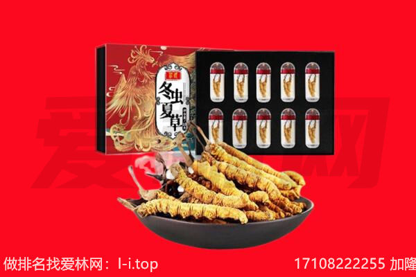 凉山州会理回收虫草.jpg